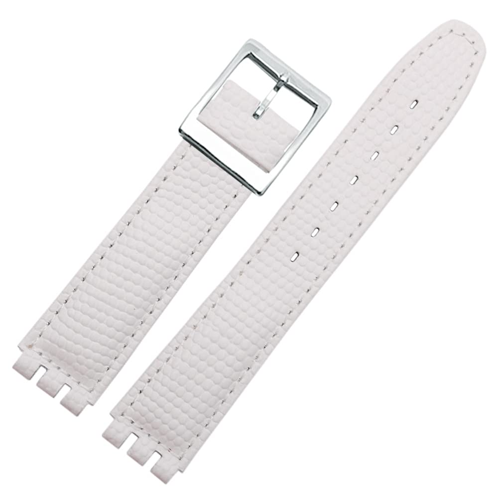 ZHUOLEI Swatch Watch Includes 3 Spring Spring Bar and Box Strap, 17mm/19mm, White, Bars, Remover,