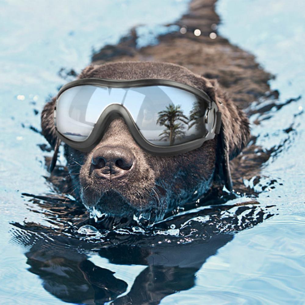dog sunglasses goggles