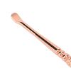 Ear Spoon Double Head Stainless Steel Ergonomic Design Relieve Itching Glossy Rounded Spiral Spring Ear Pick