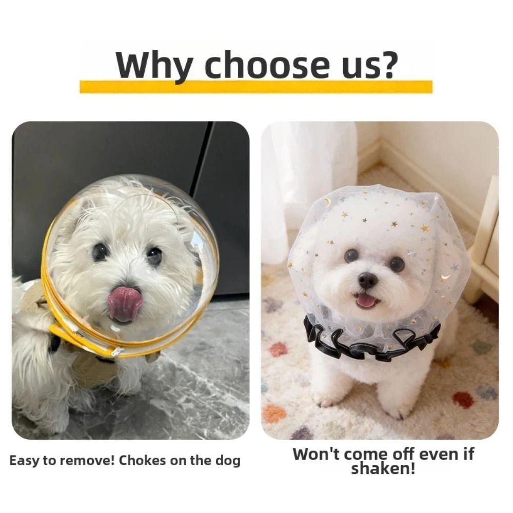 Face Cover Dog Anti-Eating Headgear Anti-accidental Dog Protective Veil for Outdoor Use