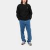 Carhartt WIP American Script Sweatshirt Black Men Streetwear I025475-89-XX