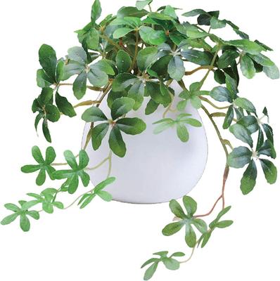 Kijapan Interior Green Artificial Plant with Photocatalytic Treatment, Sugar Vine, 26 X 20 X H17cm (MR)