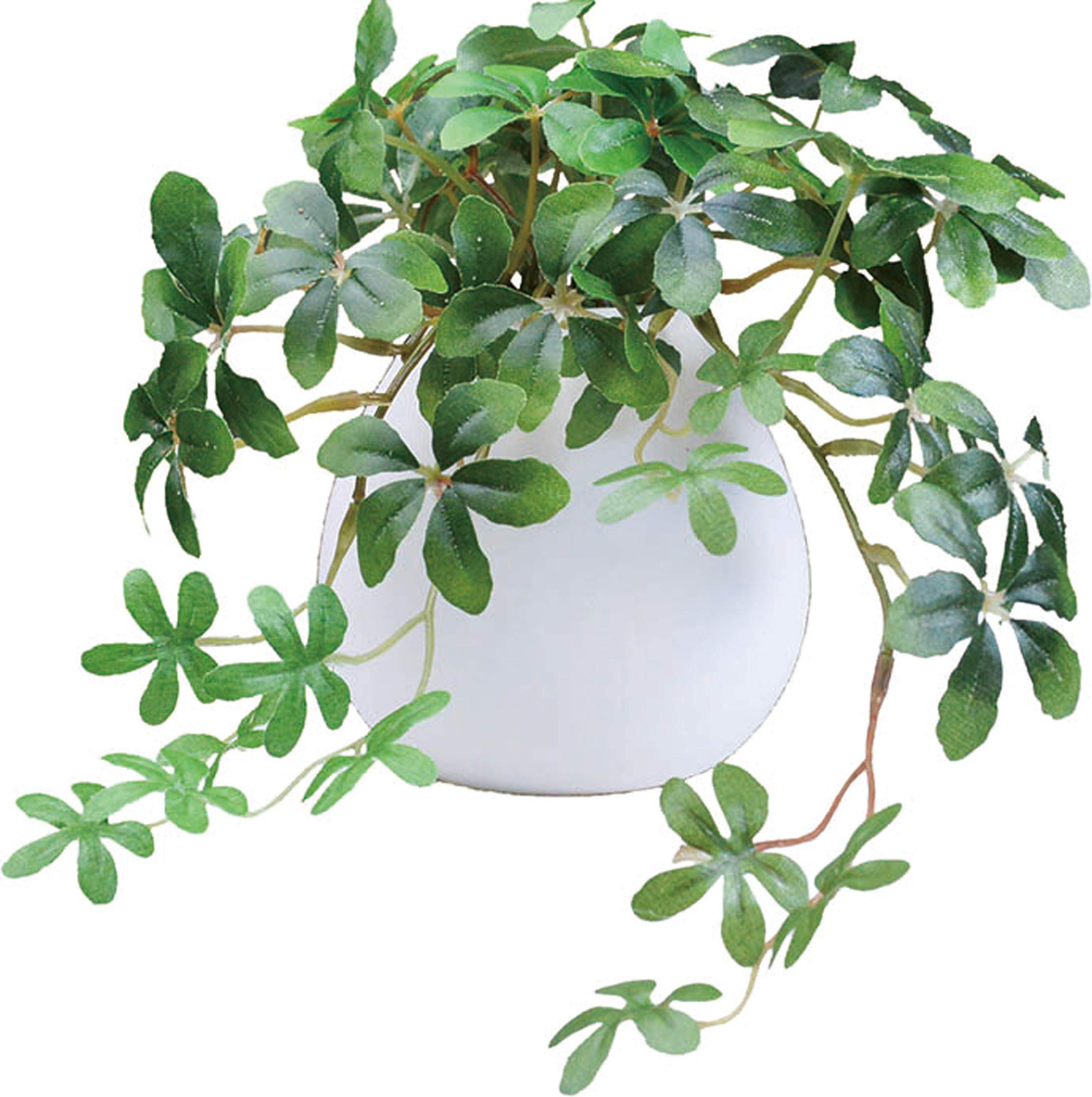 Kijapan Interior Green Artificial Plant with Photocatalytic Treatment, Sugar Vine, 26 x 20 x H17cm (MR)