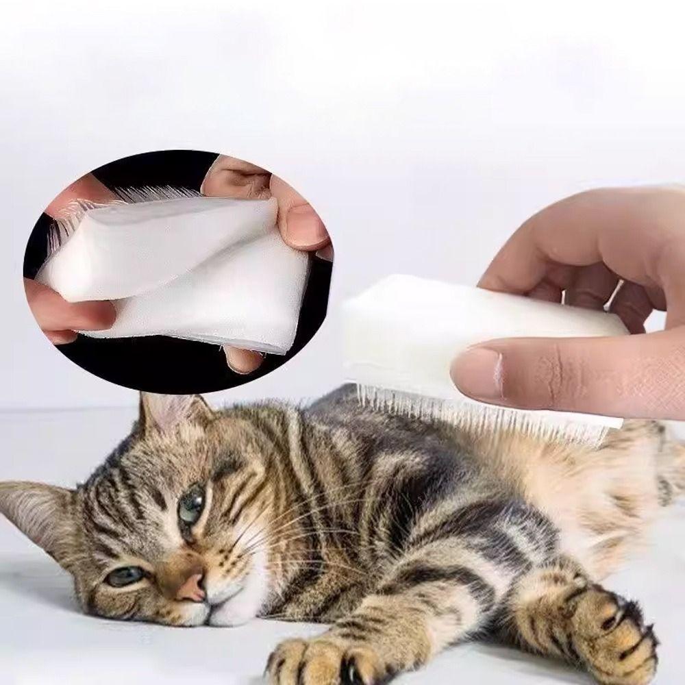 2PCS Multifunctional Hand Washing Brush Double Sided Pet Cat Brush Cleaning Brush Kitchen Use