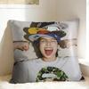 I-lngshot LOUIS Pillowcases  Fashion Pillow Case For Couch Sofa Bedroom Square Pillow Cover