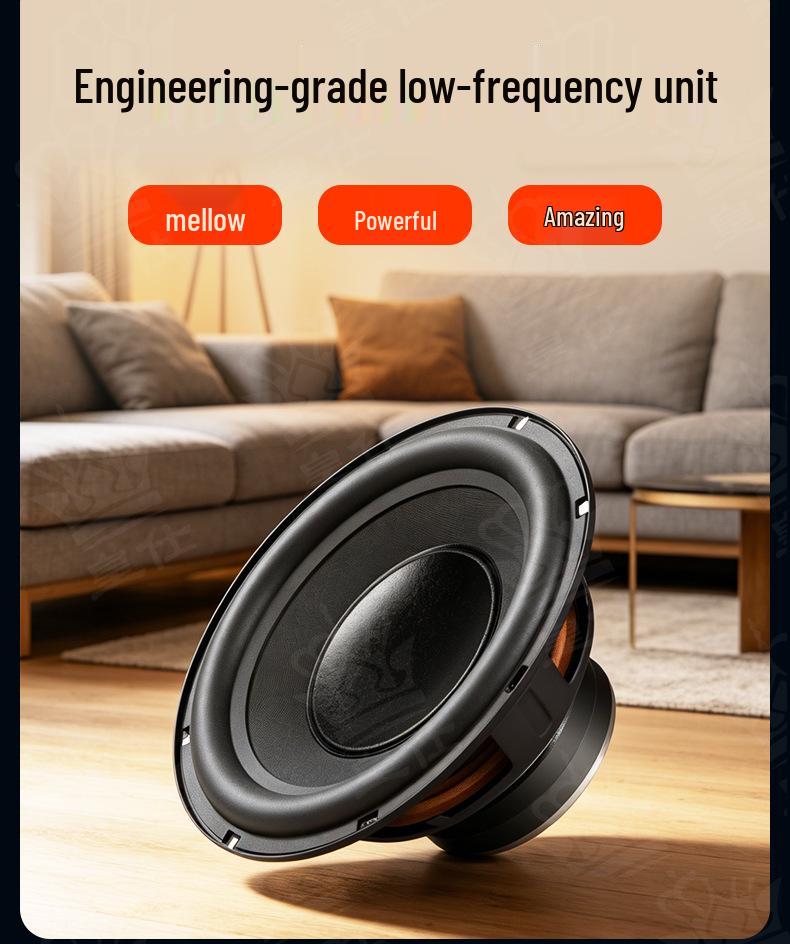Huangshi Dual 12" High-Power Active Professional Stage Subwoofer with Super Bass