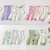 Spring And Autumn Socks Fashion Trend Dongdaemun Fruit Socks Medium Tube Socks Cotton Socks Personalized Student Socks