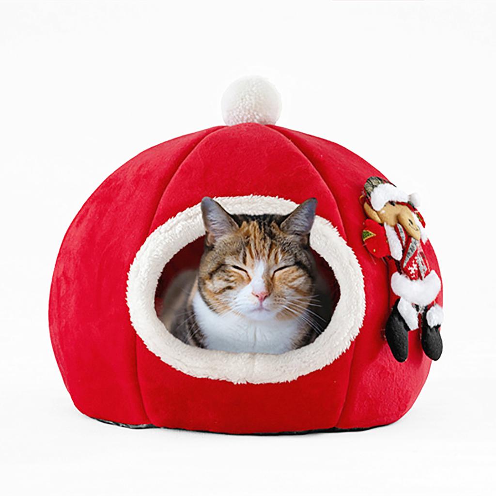 pumpkin cat bed