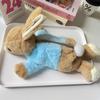 Trousse à Crayons Peluche Peter Rabbit En Matière Douce Pour l'École et le Rangement de Voyage