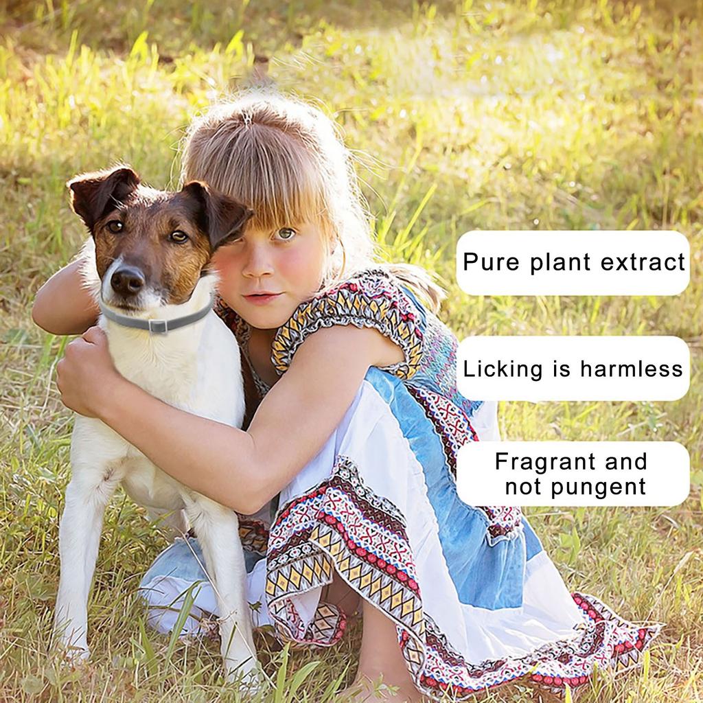 Flea Collar For Dogs, Dog Flea And Tick Collar 8 Months Flea And Tick T Reatment For Dog, Waterproof Adjustable Dog Flea And Tick Prevention Collar