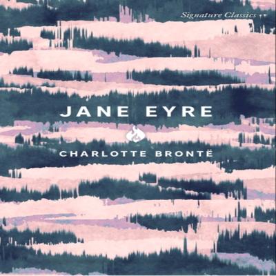 Jane Eyre by Charlotte Bronte Paperback Book 9781435171664