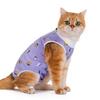 Cat Spaying Suit After Surgery - Anti-scratching Breathable Cartoon-style All-season Female Cat Surgical Gown