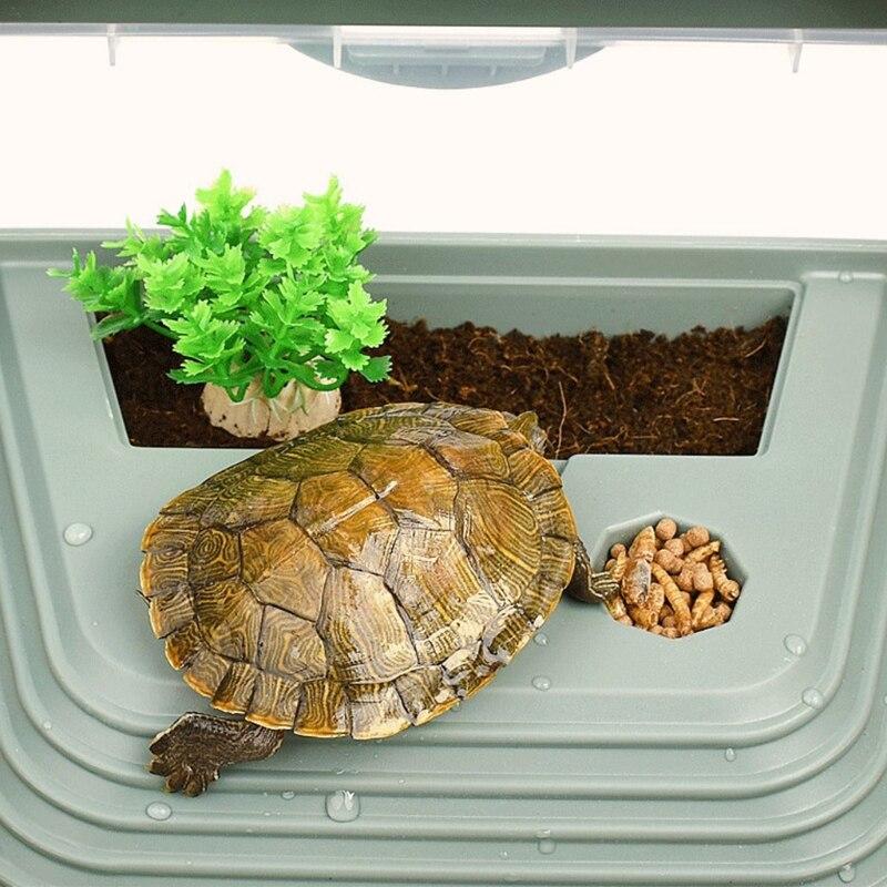 plastic tortoise house