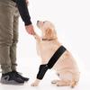 Adjustable Dog Hip Leg Support with Steel Support Chloroprene Rubber Wrap for ACL Tear Arthritis Hip Dysplasia Injury Recovery