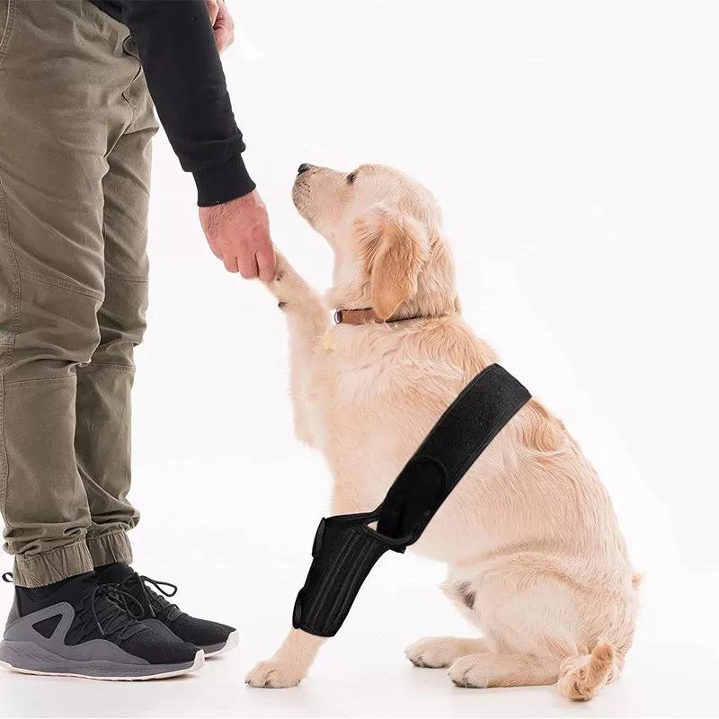 Adjustable Dog Hip Leg Support with Steel Support Chloroprene Rubber Wrap for ACL Tear Arthritis Hip Dysplasia Injury Recovery