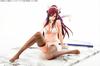 FAIRY TAIL Erza Scarlet White Cat Scale PVC Painted Complete Figure Gravure_Style 1/6