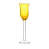 Set of Stylish Liqueur & Nalewka Glasses, Liquare DUKA