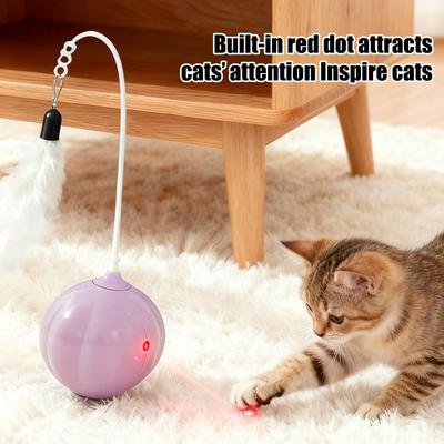 Kedi – Kedi Oyuncakları
