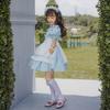 Blue Alice Girls Maid Clothing Girls Cute Lolita Dress Kids Princess Dress Lolita
