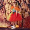 2025 Clown Suit Children's Mesh Princess Dress TUTU Girls Dress Christmas Halloween Show Costume