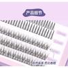 Puremantis - Individual Cluster False Eyelashes