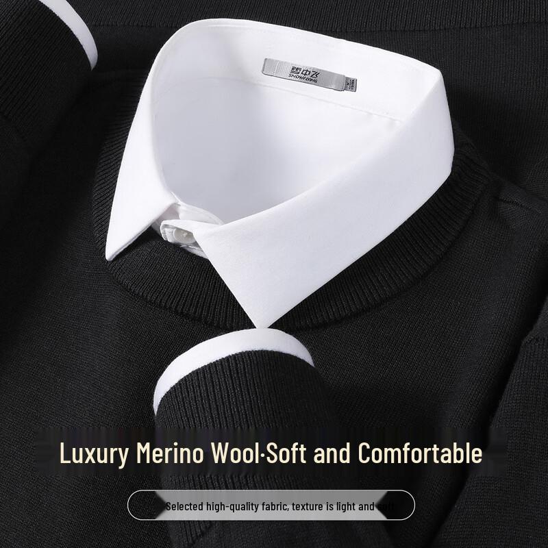 SNOWFLYING Men's Wool Blend Crew Neck Knit Sweater