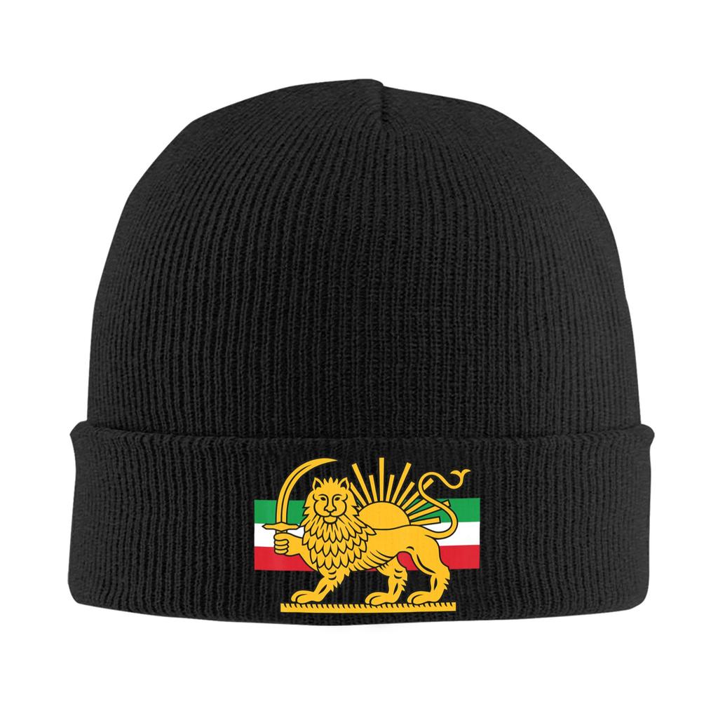 Lion and Sun of Flag Emblem Knitted Caps Women's Men's Beanie Autumn Winter Hats Acrylic  Warm Caps