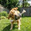 Rugby Shaped Dog Chew Toy Interactive Dog Teething Toys Pet Knot Toy  Dental Health Care