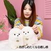 Hyack Pomeranian Plush Toy, Cute Stuffed Animal Pillow, Fluffy, White [Parallel Import]