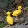 2 Pcs/Pair Creative Home Garden Balcony Courtyard Decoration Animal Floating Water Yellow Duck Ornament Resin Crafts