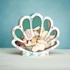 Seashell Container For Display Portable Seashell Display Decorative Wooden Clear Portable Holder For Exhibiting Kids Beach