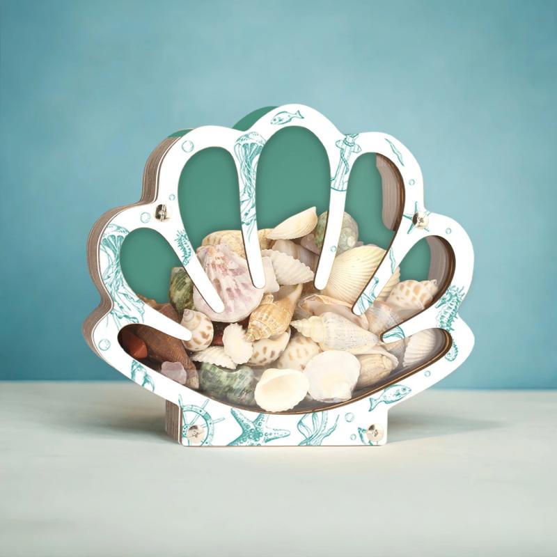 Seashell Container For Display Portable Seashell Display Decorative Wooden Clear Portable Holder For Exhibiting Kids Beach