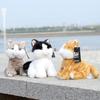 Cute Orange Gray Blue Yellow Cat Plush Doll Children Toy For Kids And Babies Gift