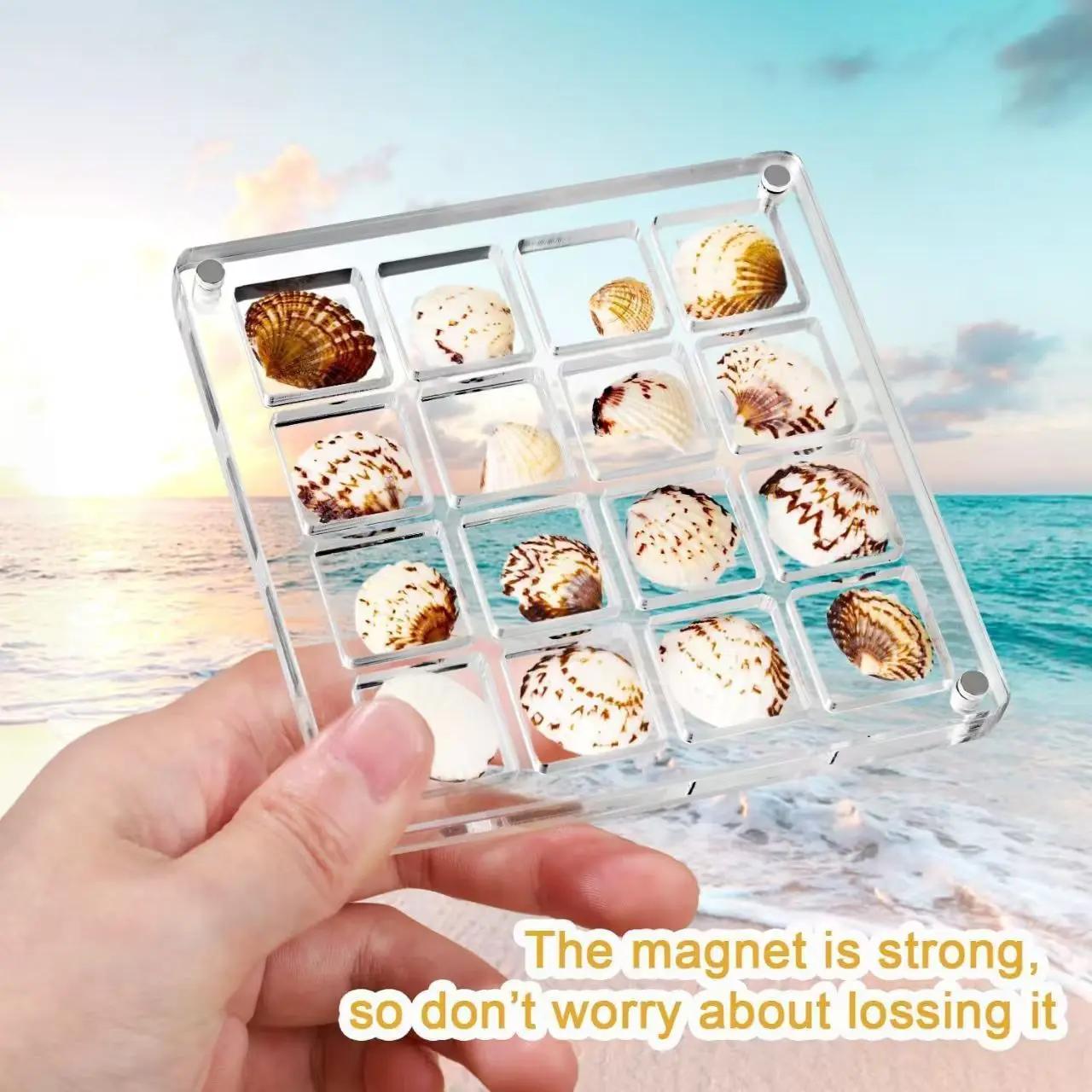 

Acrylic Square Shell Storage Box Transparent Sea Shell Display Cabinet Mini Beach Stone Decorative Storage Frame Storage Case