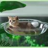 Katzennest Vier Jahreszeiten Universal-Katzenbett Haustiersofa Sommer Saugnapf Hängebett Katze Schlaffenster Hängende Katze Hängebett