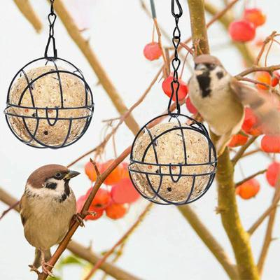 Birdcage Feeder Hollow Out Design Buckle Closing Durable Metal Non-deformation Outdoor Hanging Fun Bird Feeder