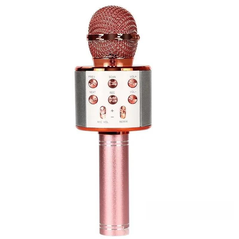 Kids Karaoke Microphone for Girl Toys,Christmas Birthday Gifts Ideas for 3 4 5 6 7 8 9 10 Year Old Girls