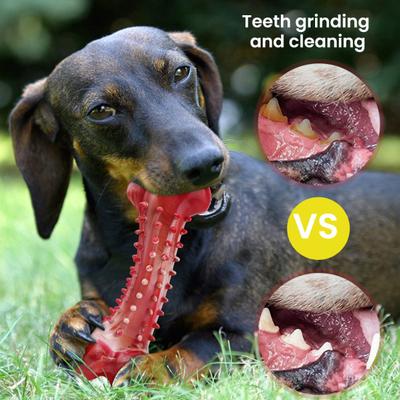 Köpekler İçin Doğal Kauçuk Çiğneme Oyuncağı Diş Temizleyici Kemik Sığır Etli