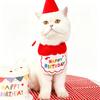 8sets Pet Birthday Party Supplies Small Hat Bib Decoration Saliva Towel Ins-Style Dog Cat Happy Birthday Felt Hat