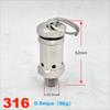 Rongyu 316L Stainless Steel Sanitary Safety Valve