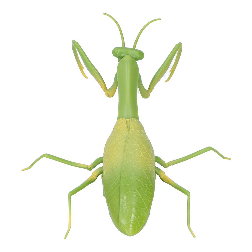 Dálkové ovládání hmyzu RC zvířat pro děti a dospělé Trikové hračky Elektrická zvířata na Halloween Kudlanka nábožná