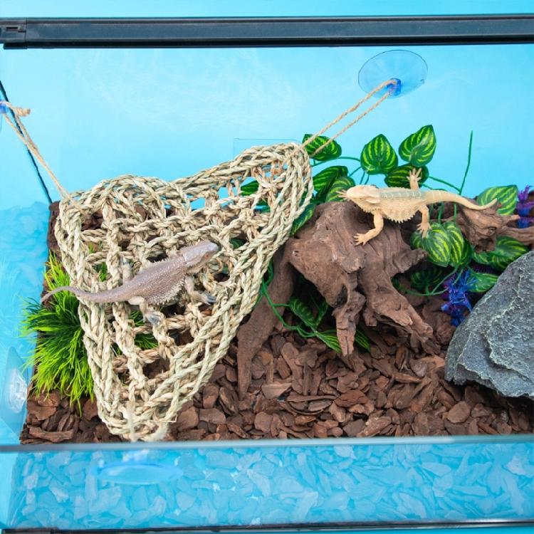 Reptiles Lounger Suction Cup Hammock for Small Lizards Geckos Resting and Activity Space with Strong Suction Cup