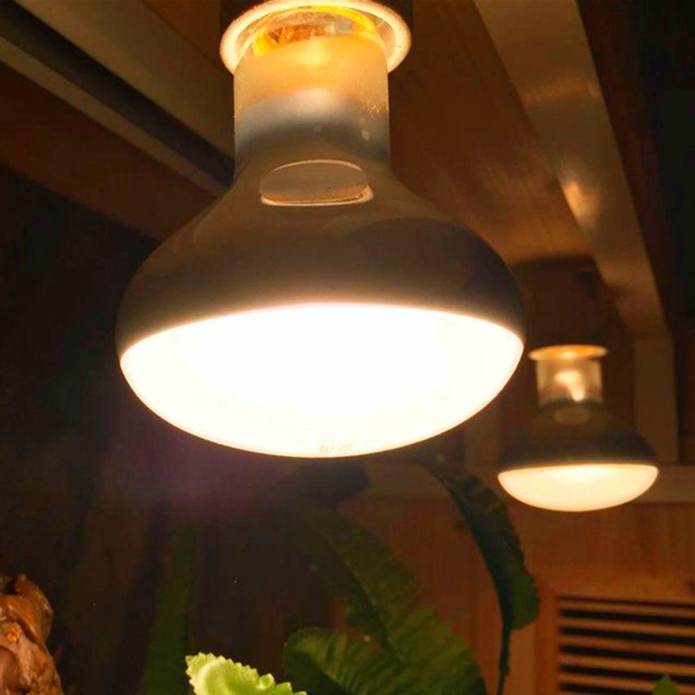 Lizard Heater Temperature Controller Basking Light UVA Light Reptile Halogen Bulb