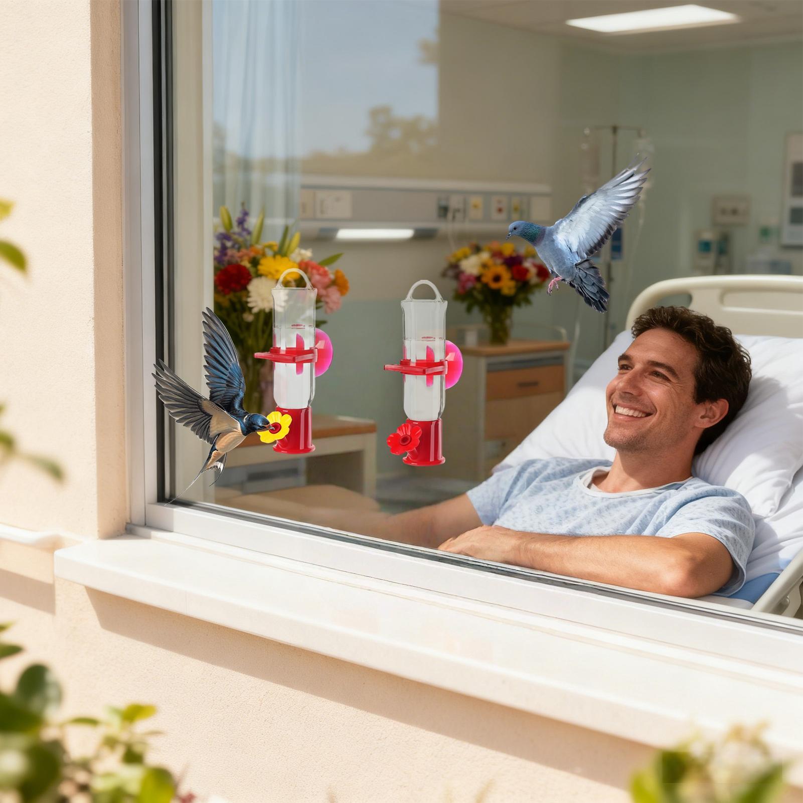 

Hummingbird Feeder Leak Proof Clear Tray Hanger 2 Pack Flower Ports Design Hummingbird Feeders For Outdoors For House Garden China Mainland