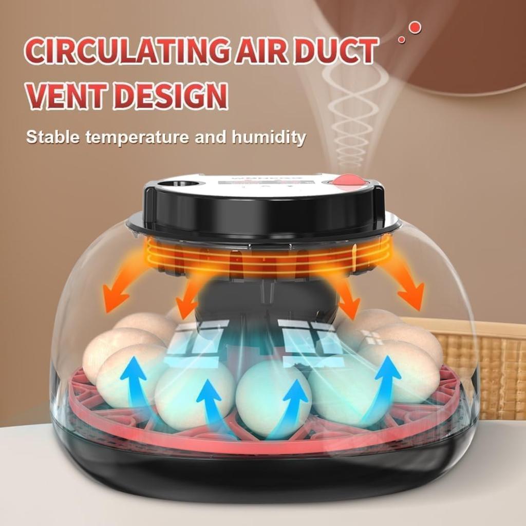 Explore+ 12 Egg Incubator for Beginners, Multi-Level Adaptive Humidity (Auto-Refill & Dual-Bottle) & Stable Temp Control, Auto Egg Turning, Real-Time