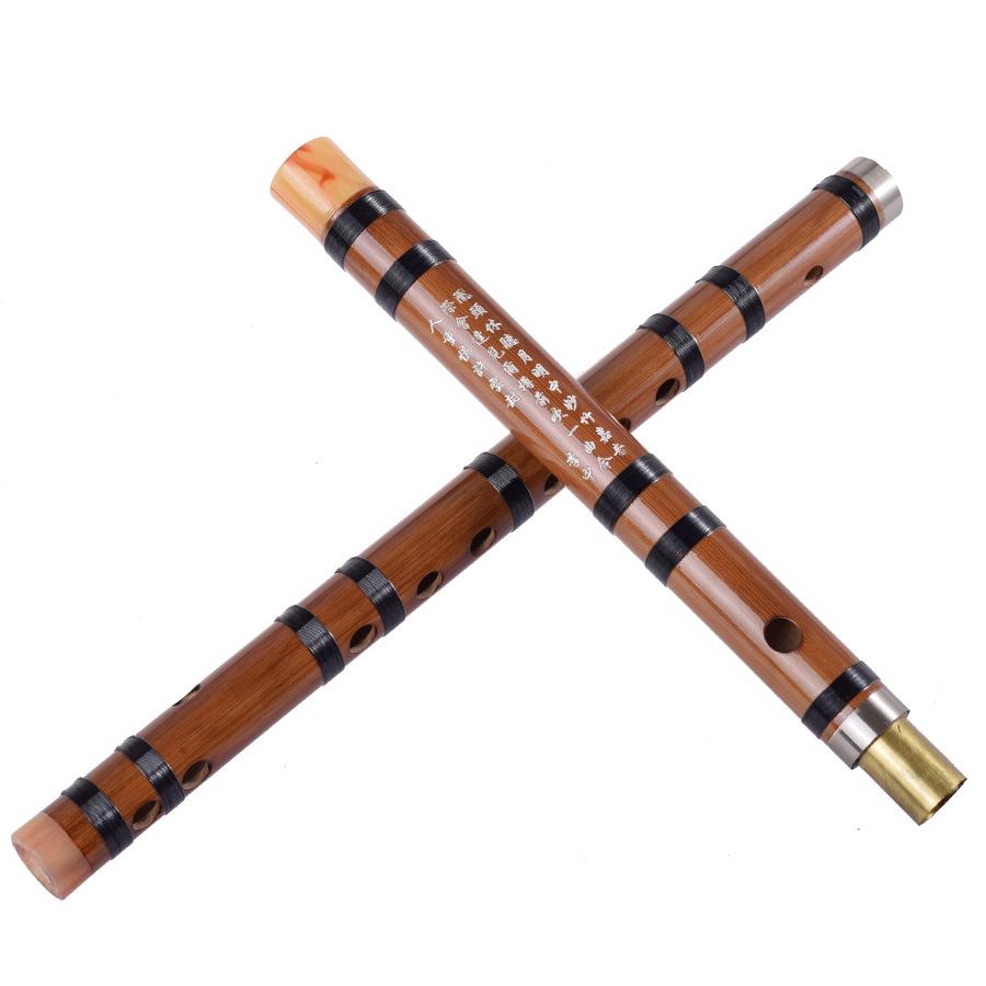 

Bitter Bamboo Dizi Flute: Beginner Transverse Ethnic Instrument for Students and Teachers G Key + 4 Free Gifts