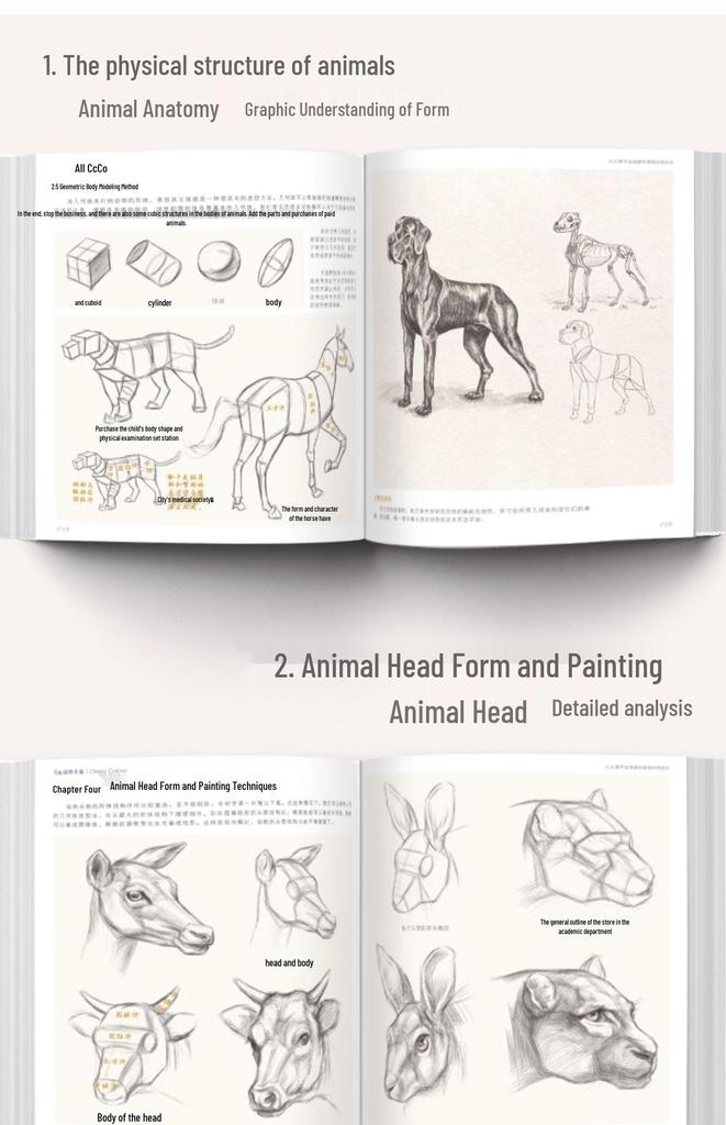 Classic Animal Sketching Techniques: Beginner's Hardcover Self-Study Guide