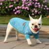 New Two-legged Multi-color Dog Clothing, Puppy Thin Velvet Sweater, Dogs And Cats Pet Clothes For Autumn And Winter