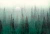 Wallpaper - Bird's-Eye View - Landscape of a Green Forest with Trees In Fog