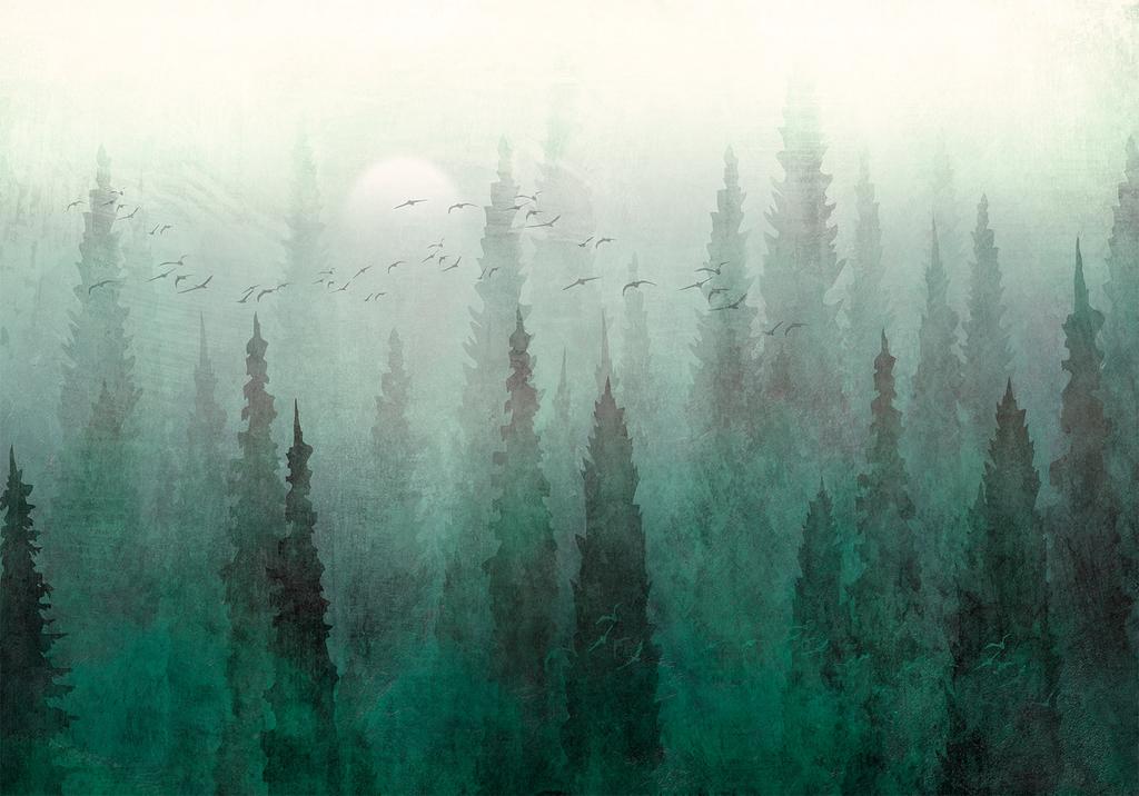 Wallpaper - Bird's-Eye View - Landscape of a Green Forest with Trees In Fog
